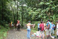 201011-costa-rica-cavalerie-s.jpg