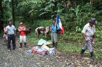 201011-costa-rica-premier-stock-s.jpeg