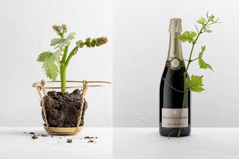 Louis Roederer @Emmanuel Allaire