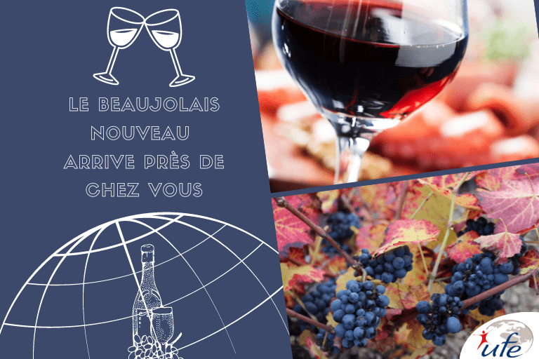 Le Beaujolais nouveau arrive près de chez vous